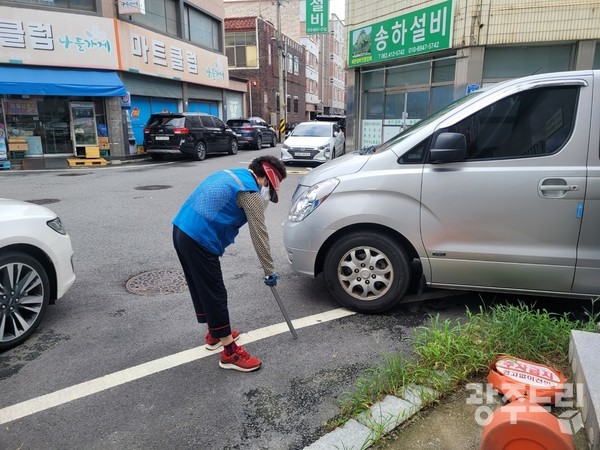 25일 오전 북구 신안동 인근에서 노인 일자리 사업으로 쓰레기를 줍고 있는 노인.