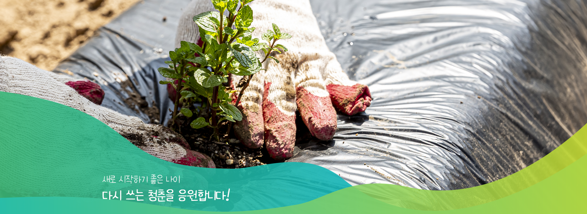 메인비주얼